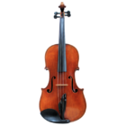 Bajoni Viola