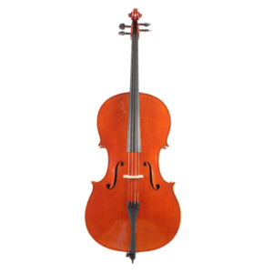 Giorgio Grisales Cello