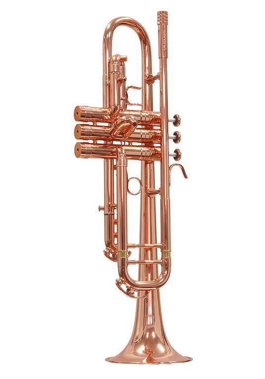 Geneva shop brass instruments