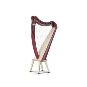 Juno 25 string Harp (Mahogany) by Salvi