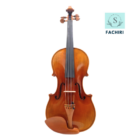 Soliste Violins - WA Music