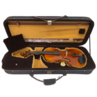 Paganini 1000 Series Viola Outfit
