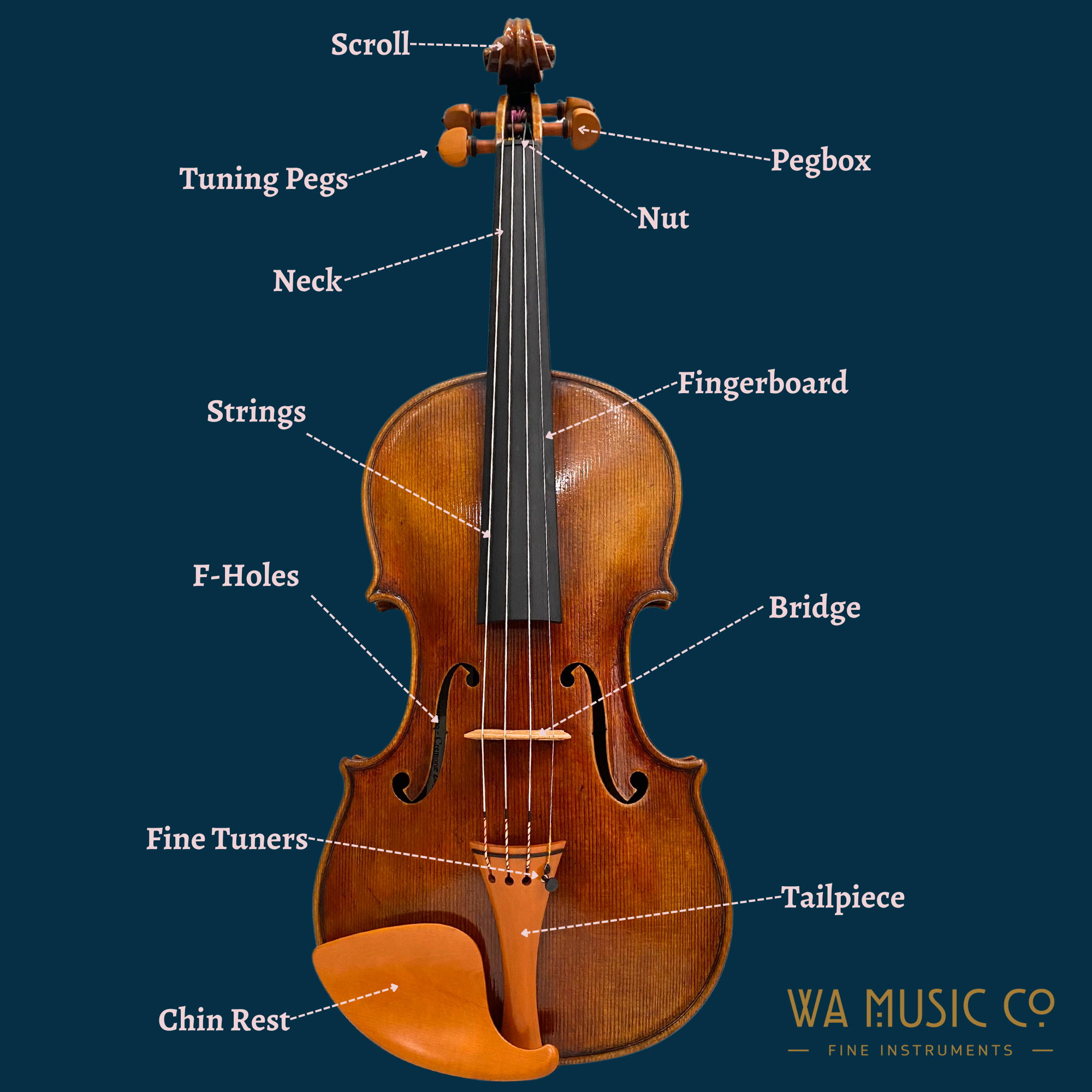Is a Violin a String Instrument