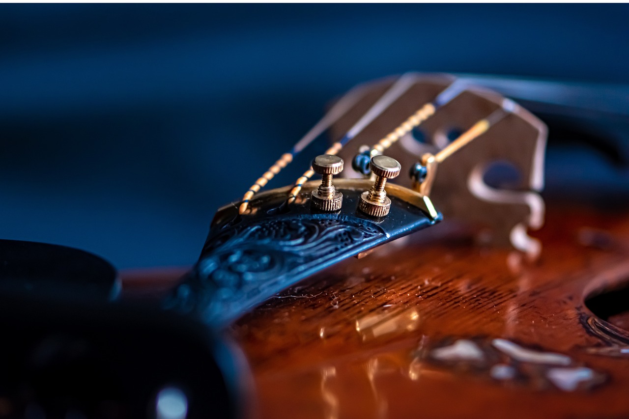 close up of violin bridge and strings and tailpiece