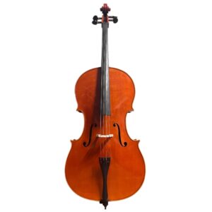 Giorgio Grisales Cello
