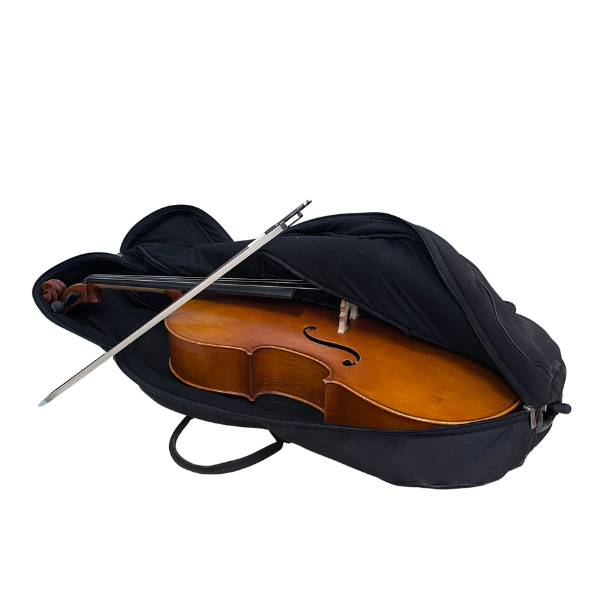 GEWA ENSEMBLE VIOLON 4/4 EUROPE 11