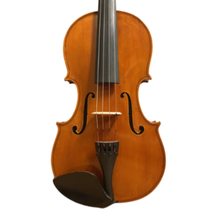 viola lillo salerno instrument