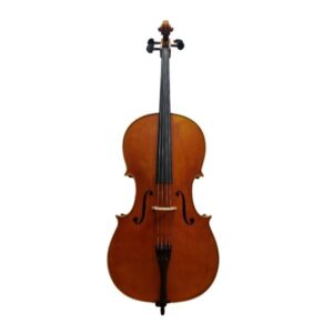 Modern Italian Cello by Paolo Rizzo (Grisales Workshop Cello)