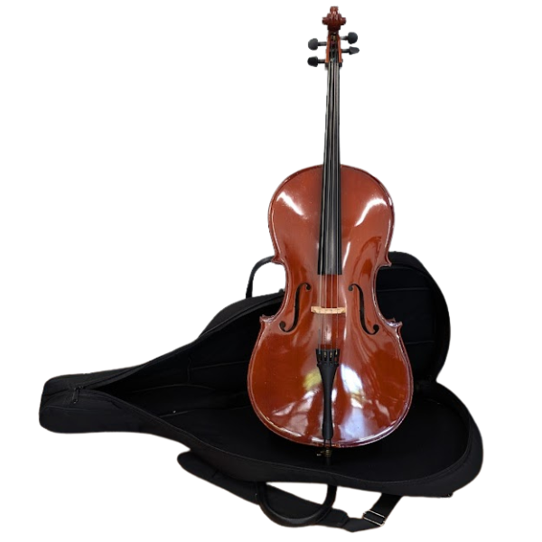 Second hand cello hotsell